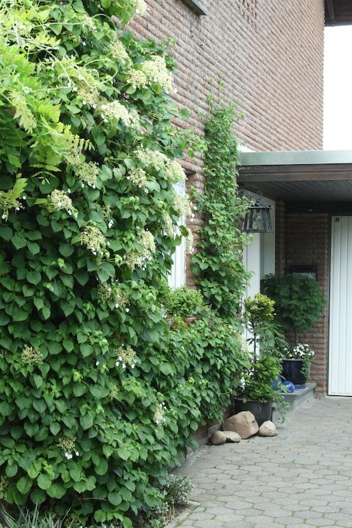 Ferienwohnung Illerhues Ascheberg  Phòng bức ảnh